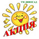 Роза чайно-гибридная Колесо Фортуны - скидка 10%!