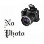 Роза чайно-гибридная и флорибунда РЕД ИНТУИШН (Delbard)