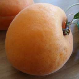 Сорта абрикоса с высокой зимостойкостью КАРМИНГО ФАРДАО*, 2 года