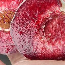 Сорта персиков, устойчивые к грибковыми заболеваниям БЛЕК БОЙ красномясый, 2 года