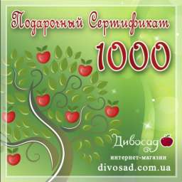 ПОДАРОЧНЫЙ сертификат 1000