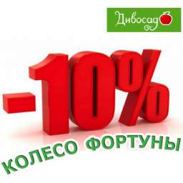 Стелющиеся розы Колесо Фортуны - скидка до 10%! Роза, 2 года