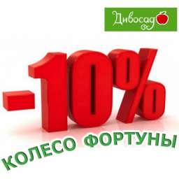      - 10%!!! , 2 