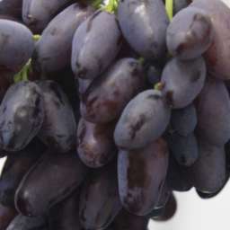 Виноград с сине-чёрными ягодами АТОС, 2 года, ОКС