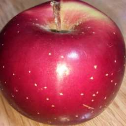 Сорта  яблони с дегустационной оценкой  4,7-5,0 балла ДЕЛЬБАР ЖЮБИЛЕ, 2 года