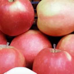 Сорта  яблони с дегустационной оценкой  4,7-5,0 балла СИНАП АЛМАТИНСКИЙ, 2 года