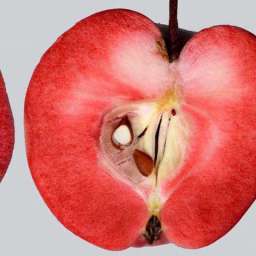 Двухлетние саженцы яблони СИРЕНА с красной мякотью, 2 года