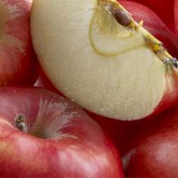 Сорта  яблони с дегустационной оценкой  4,7-5,0 балла ХАРМОНИ ДЕЛОРИНА, 2 года