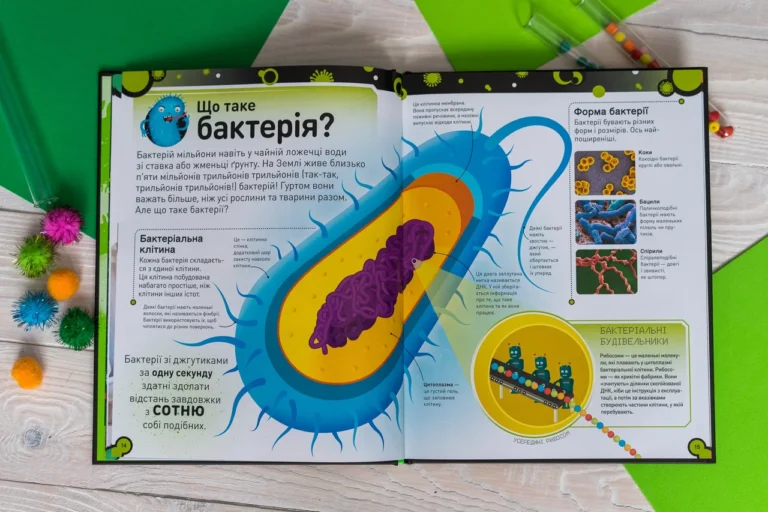 Бактерії це мікроскопічні прокаріотичні організми