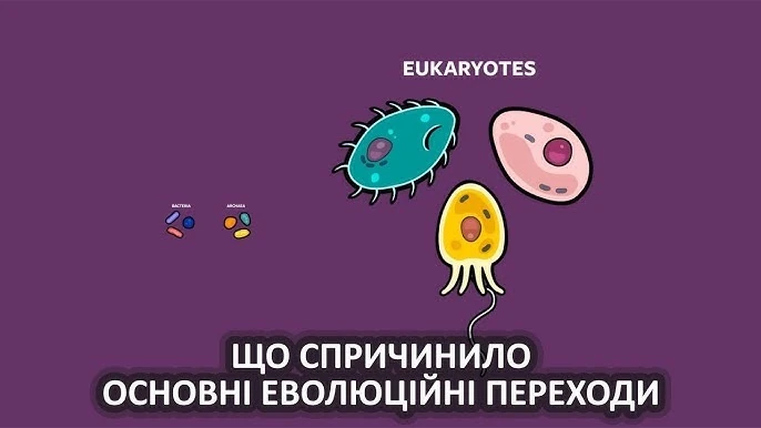 Горизонтальне перенесення генів: механізми, еволюційна роль і сучасні виклики