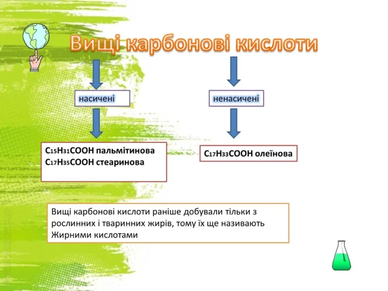 Органічні кислоти приклади: від природи до промисловості