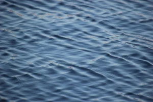 Що таке гідросфера: водна оболонка нашої планети