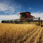 Відновлення Мінагрополітики посилить агросектор