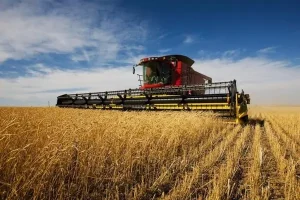 Відновлення Мінагрополітики посилить агросектор