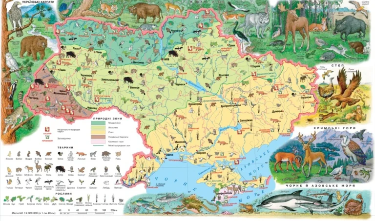 Де росте деревій: карта природних місць зростання