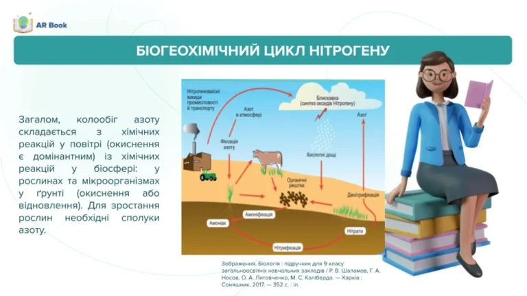 Денітрифікація: механізм, екологічна роль і практичне застосування