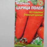Дика морква: мереживо полів і аптечна скарбниця
