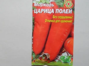 Дика морква: мереживо полів і аптечна скарбниця