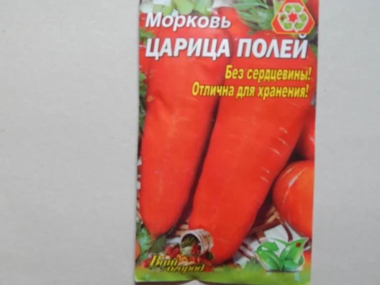 Дика морква: мереживо полів і аптечна скарбниця