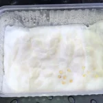 Як швидко проростити насіння перцю