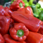 Коли садити перець: тепло важливіше за дату