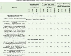 Щириця звичайна: як розпізнати, контролювати та використати з користю